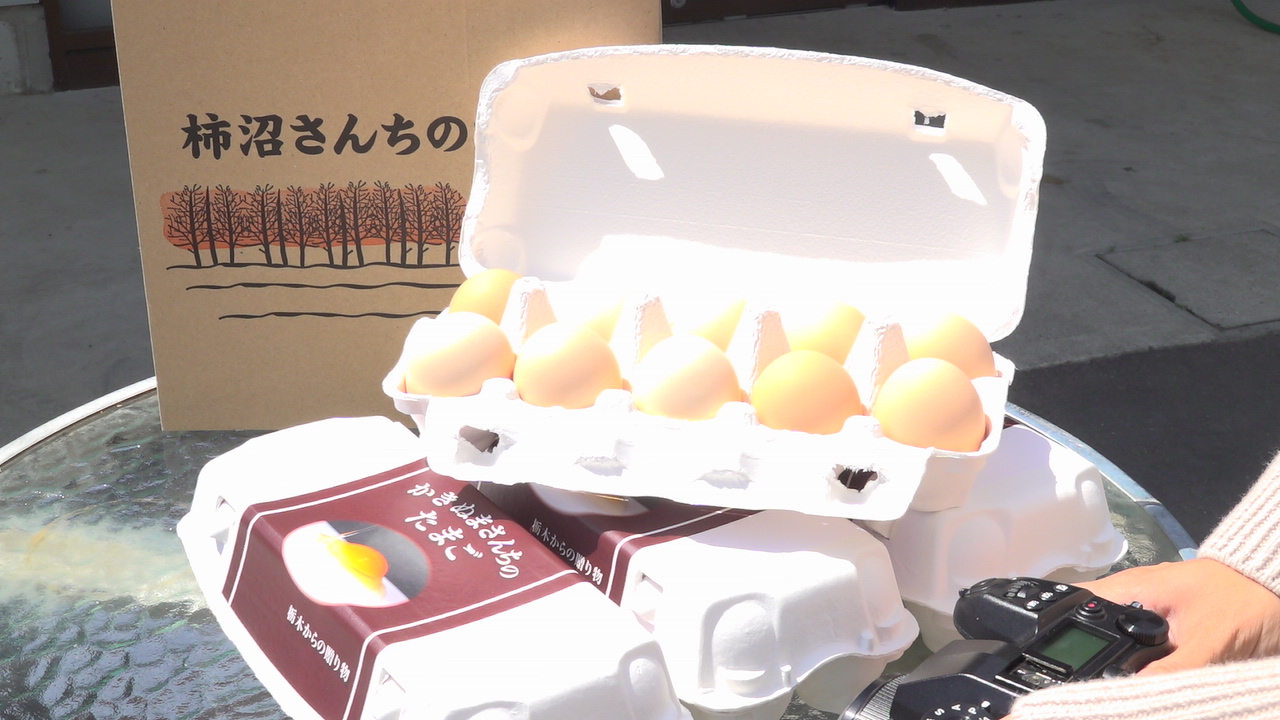 かきぬまさんちのたまご ピンク60個 | とち介とわくわく通販